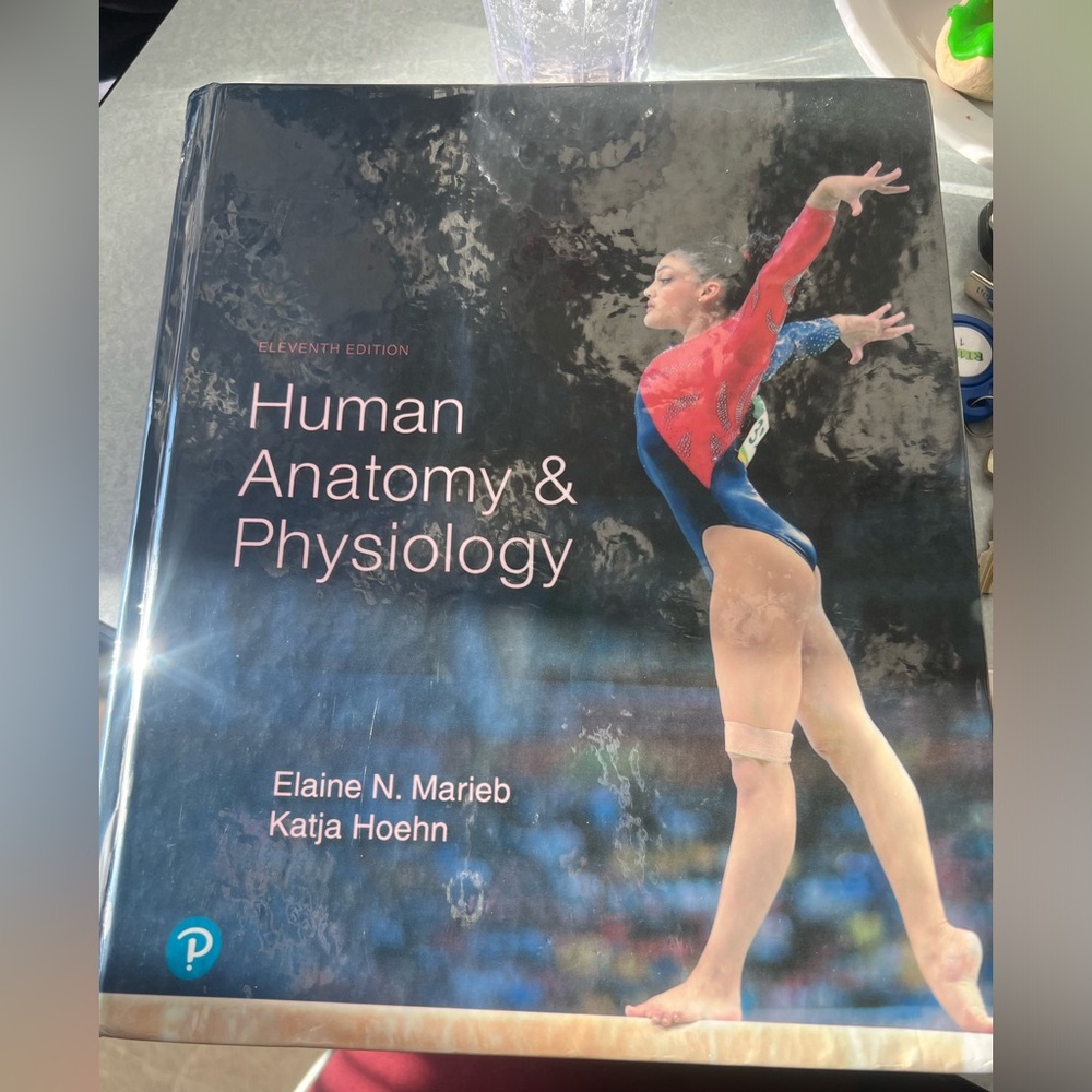 Human A&P Book, 11th Edition. Elaine Marieb, Katja Hoehn